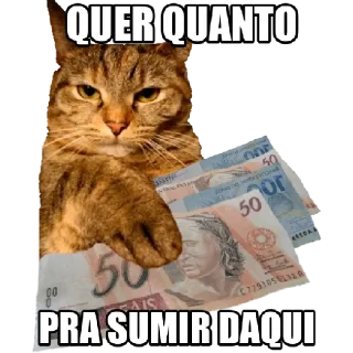 Telegram sticker 💵 tymemes