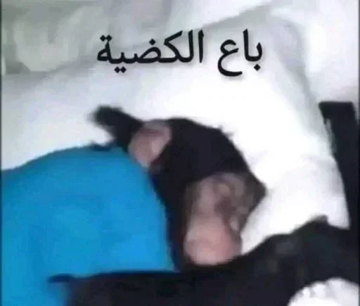 Telegram sticker 😞 الحزمة المركزة 1