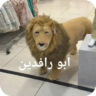 Video sticker 🐶 الحزمة المركزة 1