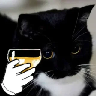 Telegram sticker 🍻 YES 3 | @Kazu_kito✨
