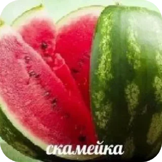 Telegram sticker 🍉 Больше стиков тут: @stikery4