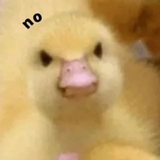 Telegram sticker 🦆 duck pack