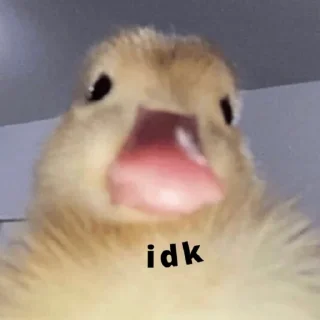 Telegram sticker 🦆 duck pack