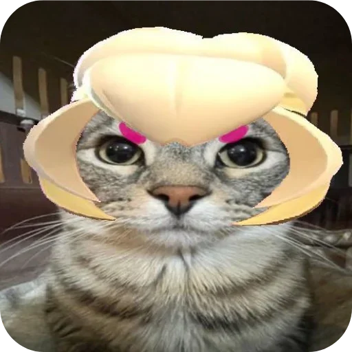 Телеграм стикер ❤ Packed Otsukare