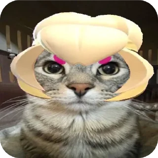 Video sticker ❤ Packed Otsukare