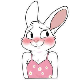 Video sticker 👗 Usins bunny
