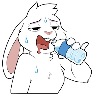 Video sticker 🚰 Usins bunny
