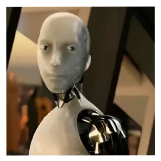 Video sticker 🧸 @No_Senna