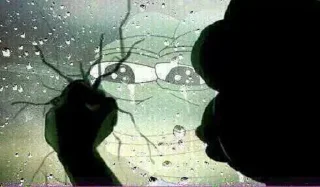 Video sticker 😕 @anon_cracker's pack Vol.1