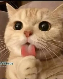 Telegram stiker 😏 @anon_cracker's pack Vol.1