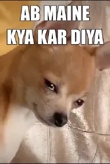 Telegram stiker 🥺 @anon_cracker's pack Vol.1