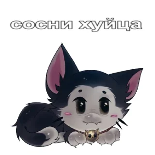 Telegram sticker 🐱 @playwithanal