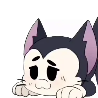 Video sticker 🐱 @playwithanal