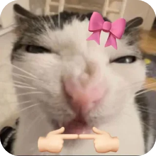 Telegram sticker 🐱 @esm_att🖕🏿