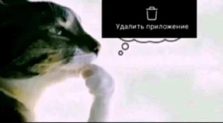 Телеграм стикер 🤩 стикеры из тт от @vampizud @TgEmodziBot