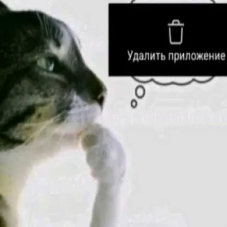 Telegram sticker 😱 Рачела педикпак ➡️ @Ctikerubot