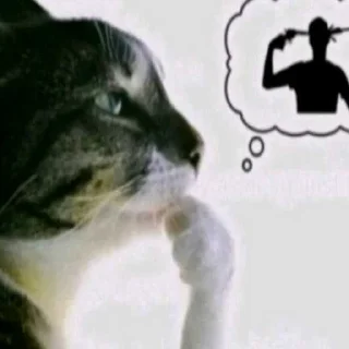 Telegram sticker 🥹 Рачела педикпак ➡️ @Ctikerubot