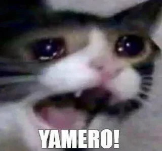 Telegram sticker 😿 dommmnsii