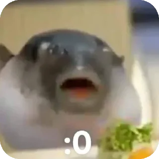 Video sticker 😐 fish