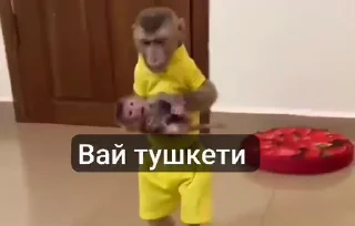 Телеграм стикер 🤩 @frmnva1 monkeys meme. :: @fStikBot