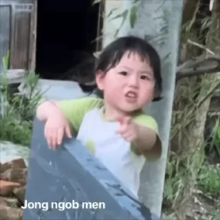 Video sticker 🔥 Your stickers - @my_stckers_bot