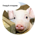 Telegram sticker 🖕 Злые зверята by @DGStickers