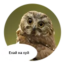 Telegram sticker 🖕 Злые зверята by @DGStickers
