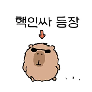 Video sticker ⭐ 친해지길바라 @moe_sticker_bot