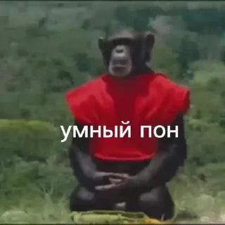 Телеграм стикер 🤓 Ультра пон :: @fStikBot