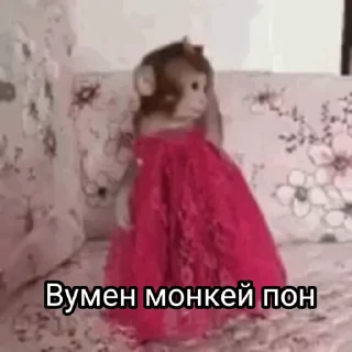 Телеграм стикер 🧔‍♀ Ультра пон :: @fStikBot