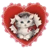 Video sticker ❤️ ♡ colorful heart...