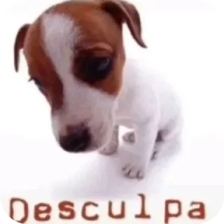 Telegram stiker 🐶 O QUE?????