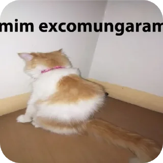 Telegram stiker 🐱 O QUE?????