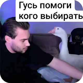 Video sticker 🖼 Я не ебу