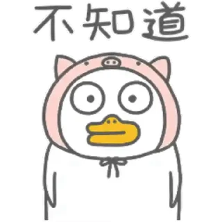 Video sticker 😊 Duckyo