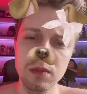 Video sticker 🌟 шабанов гей заебал🐶 :: @fStikBot