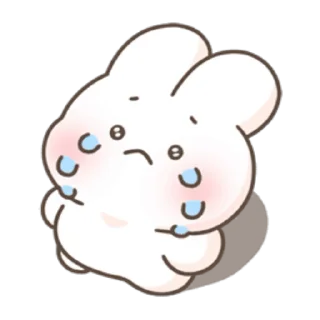 Video sticker 😭 Bunnies - @TodorokiShouto