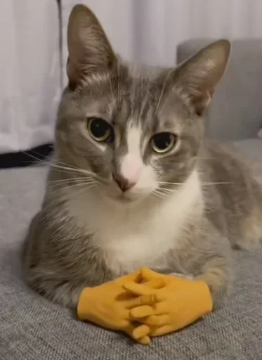 Telegram sticker 🤔 Больше стиков тут: @stikery4