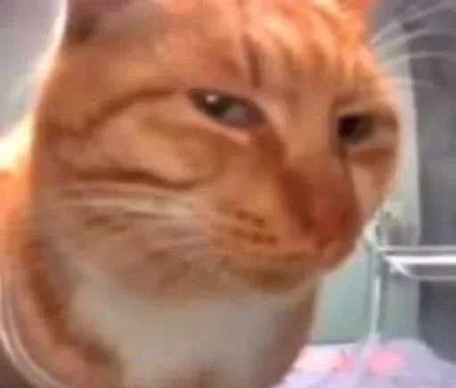 Telegram sticker 🙄 Больше стиков тут: @stikery4