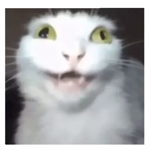 Telegram sticker 🤪 Больше стиков тут: @stikery4