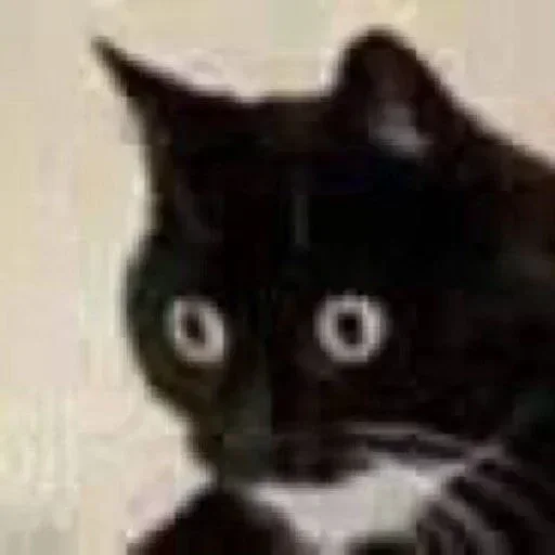 Telegram sticker 😳 Больше стиков тут: @stikery4