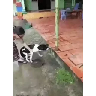 Video sticker ☺️ Prsnl @Kazu_kito