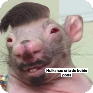 Video sticker 🥲 Arsenal RJ Chat COPIA NAO COMEDIA 👹