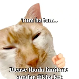 Telegram sticker ✋ ~ｌｕｃｙ ｃａｔ'ｓ = @stickers_039 ~