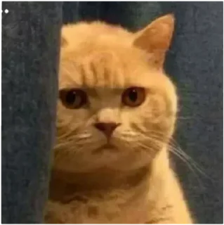 Telegram stiker 😐 Stickers ~ @goddessarora