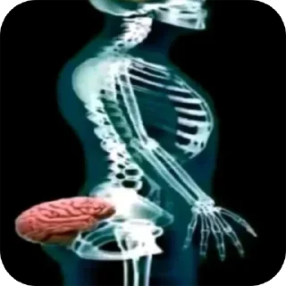 Telegram sticker 🤯 Больше стиков тут: @stikery4