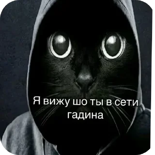 Telegram sticker 😇 Больше стиков тут: @stikery4