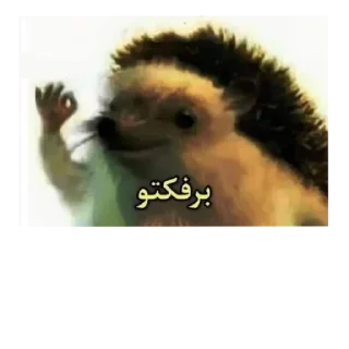 Video sticker 👌 رياكشنات زينكو / @XENKU7