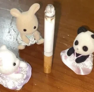 Video sticker 🎀 𝗌𝗁𝗈𝗋𝗍𝖼𝖺𝗄𝖾  @itgirldoll ﹕ 🐇 ❀