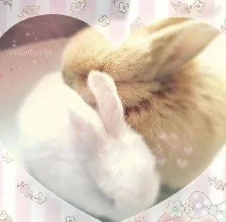 Telegram sticker 🎀 𝗌𝗁𝗈𝗋𝗍𝖼𝖺𝗄𝖾  @itgirldoll ﹕ 🐇 ❀